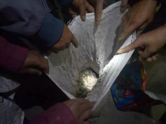  “啥？抓幾個(gè)青蛙還犯法？”或許西寧環(huán)保驗(yàn)收公司