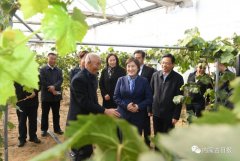 內(nèi)蒙古自治區(qū)主席：全力做好大氣污染聯(lián)防聯(lián)控聯(lián)治工作 確?！八{(lán)天保衛(wèi)戰(zhàn)”圓滿收官青海水土保持代辦公司